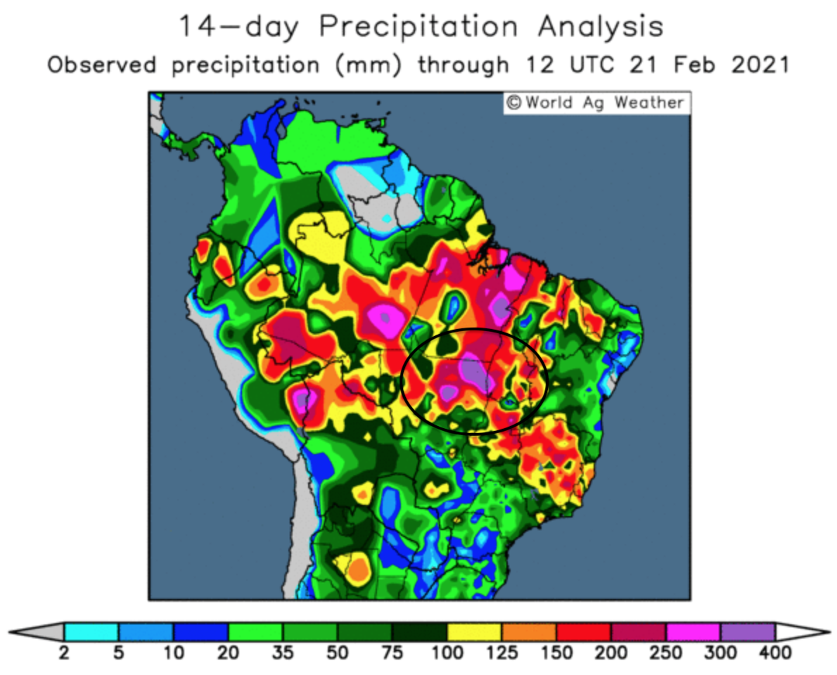 ODA Market Alert:  Rains continue to hamper Brazil’s 🇧🇷 soybean harvest and delay corn drilling.