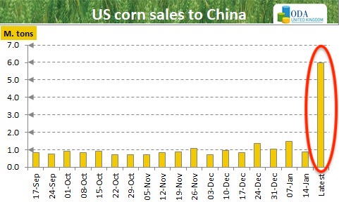 Chinese purchases record volume of US corn.