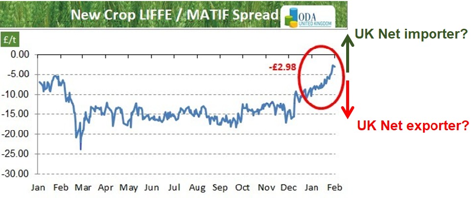 ODA Market Alert: UK 🇬🇧 new crop wheat price spread vs MATIF rises to season highs…