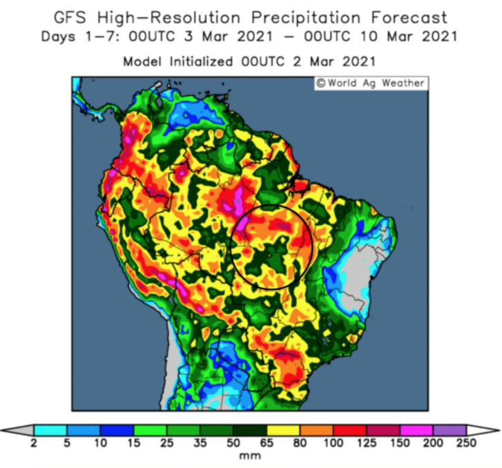 Wet weather is slowing down soya harvest and corn drilling in Brazil