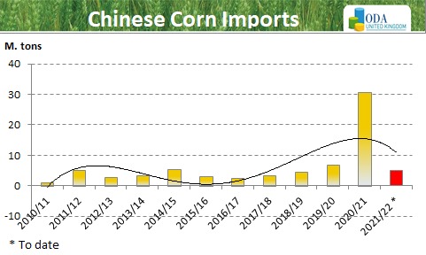 ODA Market Alert:  China 🇨🇳 returns to the market seeking fresh US 🇺🇸 corn supplies.