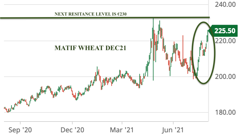 ODA Market Alert: Wheat prices very supportive amid ongoing yield and quality disappointment across Europe 🇪🇺 and UK 🇬🇧.