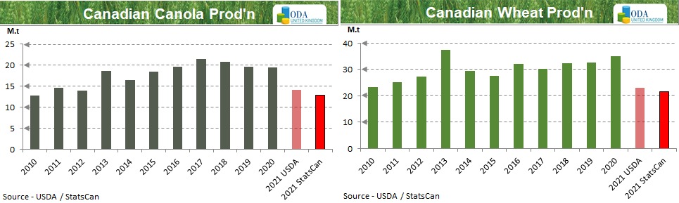 ODA Market Alert: StatCan 🇨🇦 releases a bullish report. Wheat and Rapeseed prices react strongly.