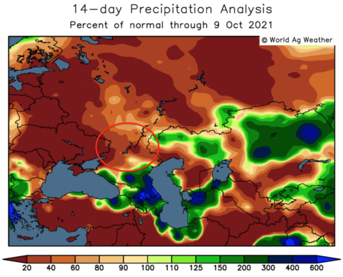 ODA Market Alert: Russia 🇷🇺 winter wheat acreage down at least 1Mha.