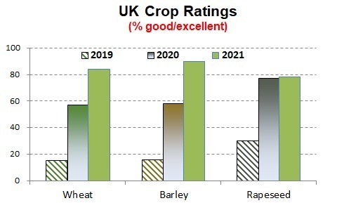 UK winter crops in good shape heading into winter.
