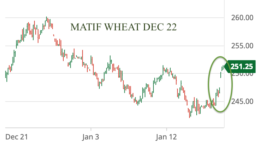 𝗢𝗗𝗔 𝗠𝗮𝗿𝗸𝗲𝘁 𝗔𝗹𝗲𝗿𝘁: Wheat prices rise strongly as market prices an increasing risk of conflict between Russia 🇷🇺 / Ukraine 🇺🇦.