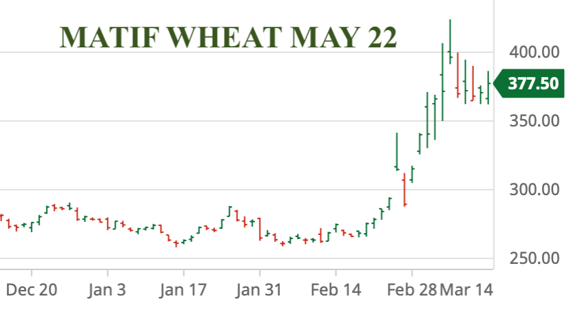 𝗢𝗗𝗔 𝗠𝗮𝗿𝗸𝗲𝘁 𝗔𝗹𝗲𝗿𝘁: Grain prices up again this Monday as food security concerns rise.