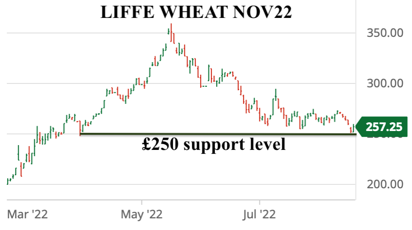 ODA Market Alert: OSR & Wheat prices rebound on technical supports. A positive signal?