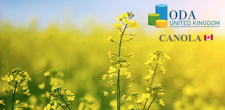 ODA Market Alert: OSR prices rebounded above €600 amid slow Canadian 🇨🇦 canola harvest & disappointing yields so far.