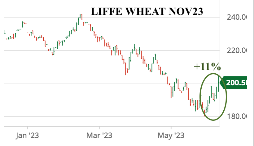 LIFFE Nov23, above £200 for the 1st time since May.
