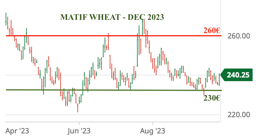 3 reasons why wheat prices “should” rise.