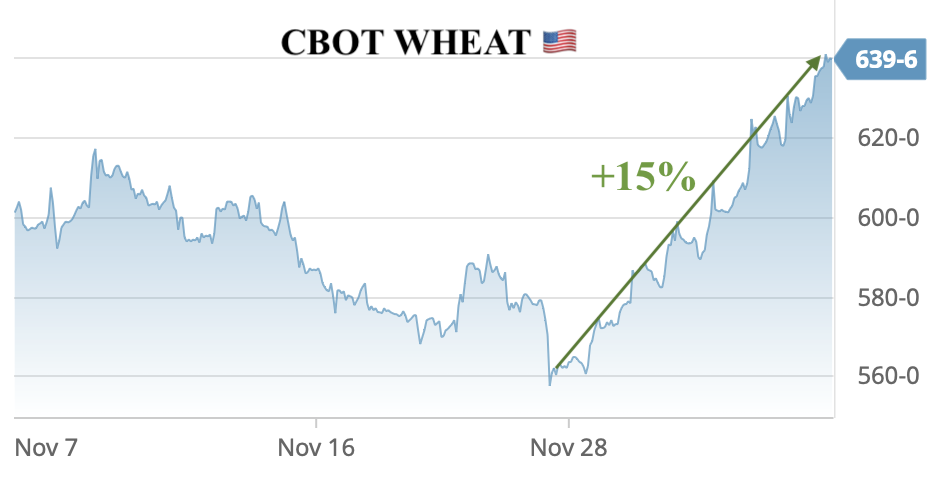 CBOT wheat prices continue to rise as China 🇨🇳 buys another massive volume of US 🇺🇸 wheat.